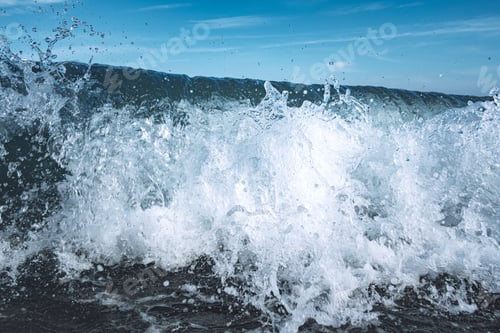 Preview: Wave