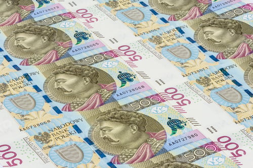 Preview: Banknotes of 500 pln laying in a row