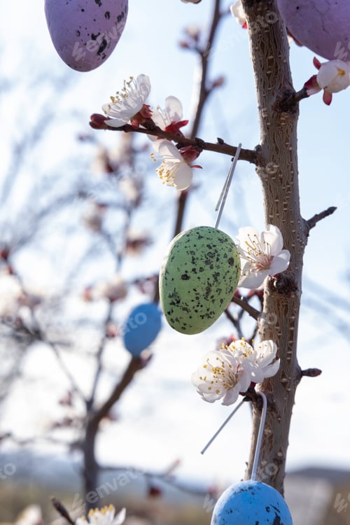 Preview: Flowering tree branches with hanging Easter colored eggs. Garden decoration. Spring joyful holiday