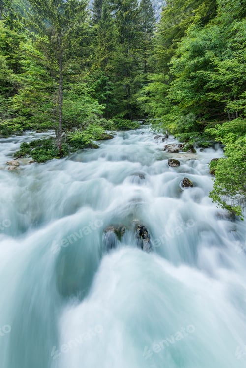 Preview: Blurred view of rocky creek in forest