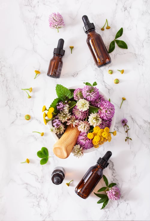 Preview: medical flowers herbs in mortar essential oils in bottles. alter