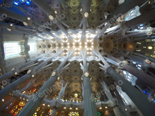 Preview: Ceiling of the inside of the Sagrada de La Familia in Barcelona, Spain.