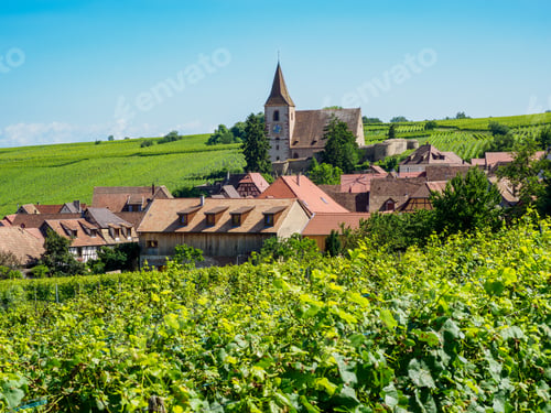 Preview: Hunawihr village and surrounding vineyards, Alsace, France