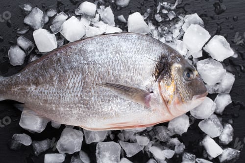 Preview: Marinated bream sea isolated on white background.