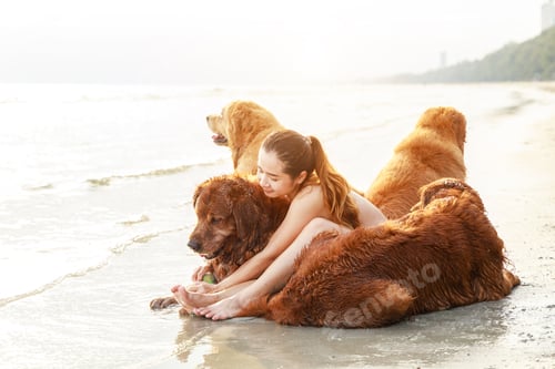 Preview: Asian young woman plays and hug with her dog on the beach. Healthy active lifestyle concept.