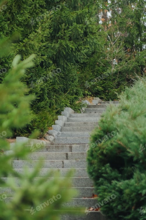 Preview: Detailed view of an elegant curving grey stone staircase amidst lush green evergreen trees