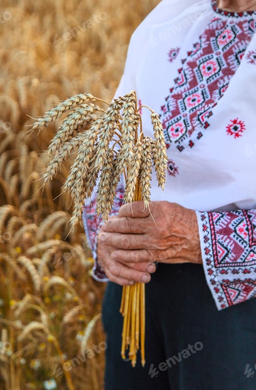 Preview: Woman in a wheat field wearing an embroidered shirt. Selective focus.