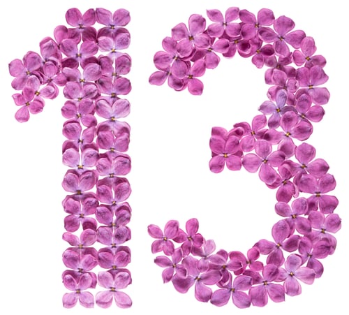 Preview: Arabic numeral 13, thirteen, from flowers of lilac, isolated on white background