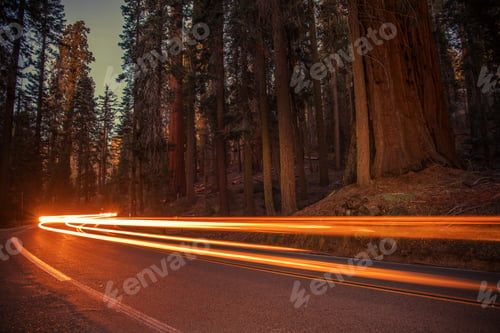 Preview: Sequoias Highway Traffic