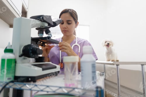 Preview: Clinic Staff With Woman Working As Veterinary In Pet Shop