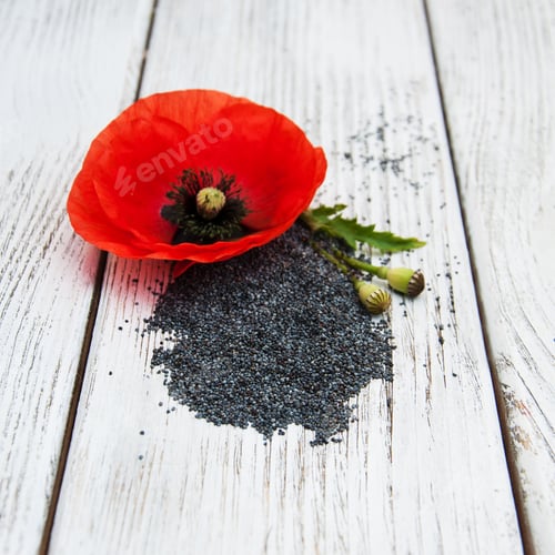 Preview: Poppy seeds and poppy flowers