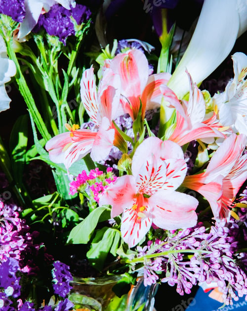 Preview: side view of a bouquet of pink color alstroemeria flowers with dark purple iris statice