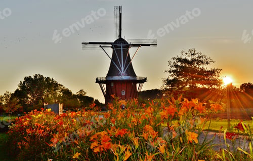 Preview: Windmill island at sunset golden hour