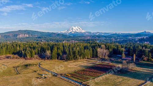 Preview: Mount Rainier
