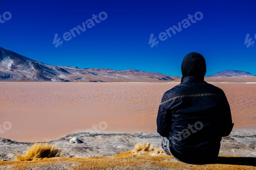 Preview: Man observing red lagoon in the plateau of Bolivia