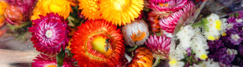 Preview: colorful flowers in the market