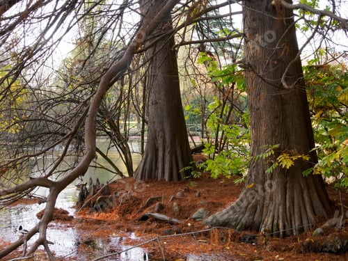 Preview: Autumn at Parco Sempione, Milan