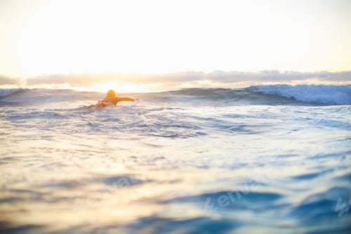 Preview: Female surfer swimming out to waves on surfboard, Sydney, Australia