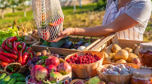 Preview: A woman farmer sells fruits and vegetables at a farmers market. Selective focus.