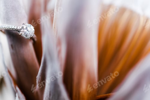 Preview: Close up of wedding ring
