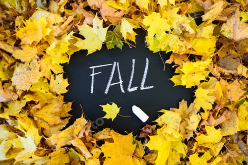 Preview: Blackboard with frame of leaves
