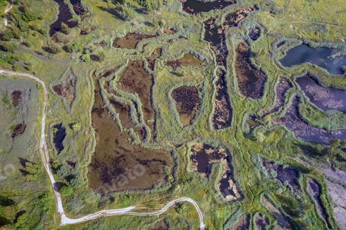 Preview: Aerial view of natural swampy lakes and a dirt road between them