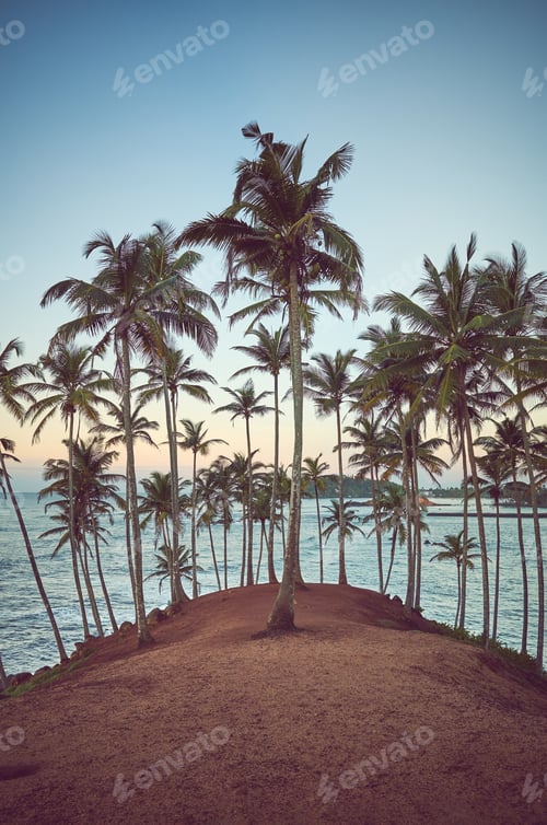 Preview: Lost paradise