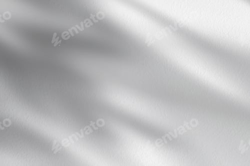 Preview: Concrete wall texture,Natural light leaves shadow overlay.White Cement with tropical leaf on floor