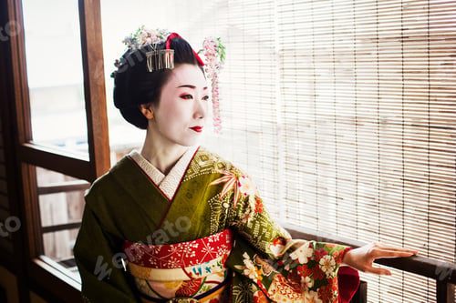 Preview: A woman dressed in the traeditional geisha style, wearing a kimono and obi, with an elaborate