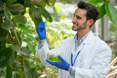 Preview: Happy biologist examining samples of a tree in a greenhouse