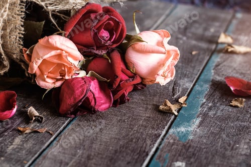 Preview: Dry roses on wooden