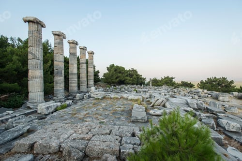 Preview: Columns of Priene