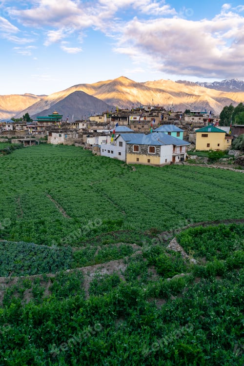 Preview: Vertical shot of the Nako village in Spiti Valley, India