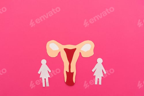 Preview: Cut Paper Female Anatomy on Pink Background