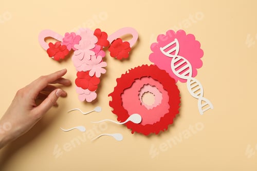 Preview: Concept of fertilization, period of ovulation, ovum.