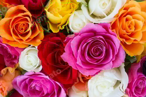 Preview: bouquet of fresh roses