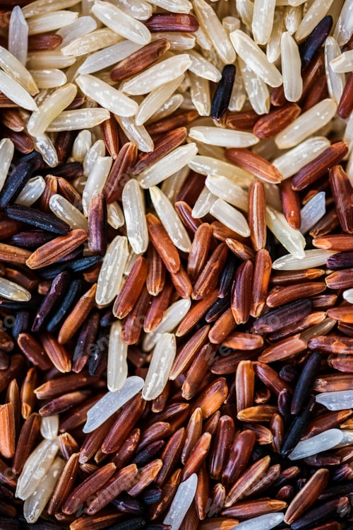 Preview: Closeup of mixed rice