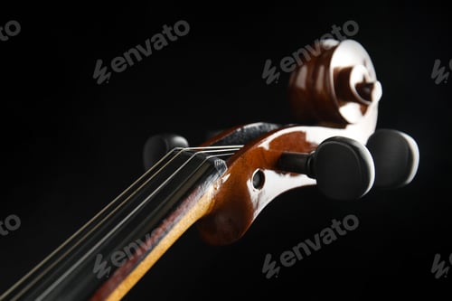 Preview: Beautiful violin on black background, closeup view
