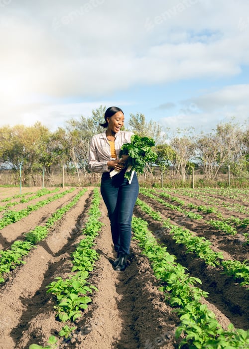 Visualização: Mulher feliz, agricultura de espinafre e colheita natural, ambiente de jardinagem e campo de primavera, sustai