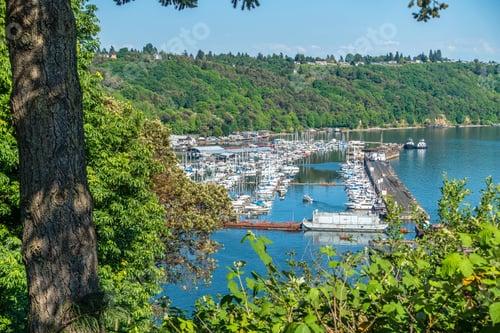 Preview: A View Of Barges And A Marina In Tacoma, Washington.