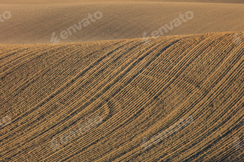 Preview: Detail of fertile, tilled farmland and rolling hills at dusk, Palouse