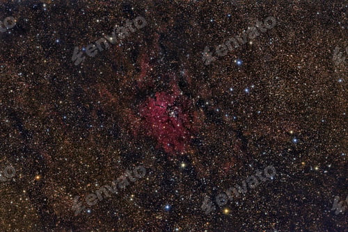 Preview: NGC 6823 Cluster in the constellation Vulpecula