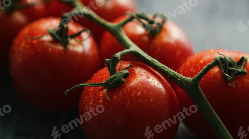 Preview: Ripe red cherry tomatoes on branch