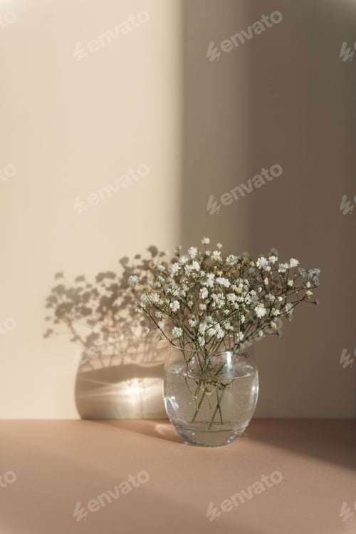 Preview: Flowers in Vase with Shadow in Light