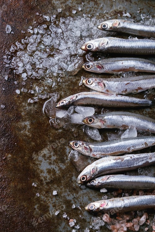 Preview: Raw fresh anchovies fishes