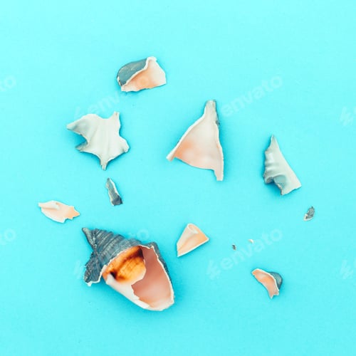 Preview: Broken Seashell Pieces Scattered on a Blue Background