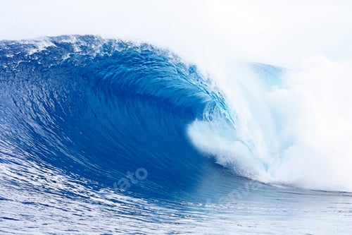 Preview: Fresh Wave