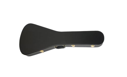 Preview: Guitar case isolated on white