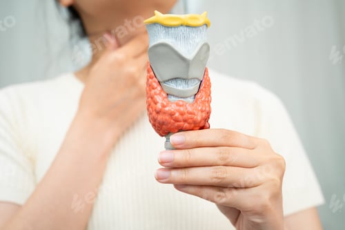 Preview: Hyperthyroidism, Overactive Thyroid, Thyroid Lymphoma,