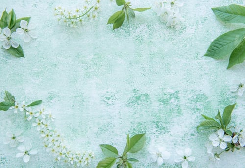 Preview: Spring background